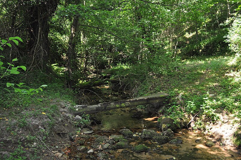 File:Ruisseau de Veyrine (Albon-d'Ardèche).JPG