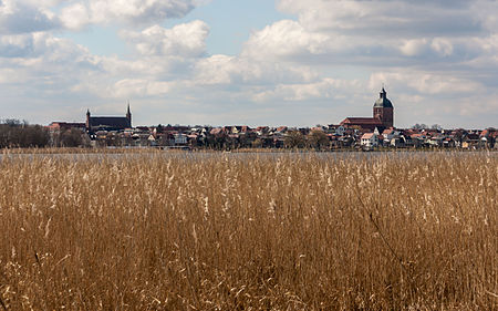 Saaler Bodden, Ribnitz (DSC04871)