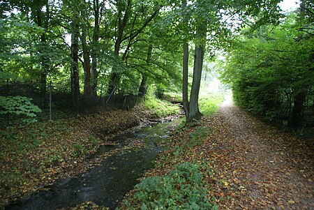 Saselbek Achtern Hollerbusch