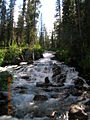 Stream in the Sawtooth Wilderness