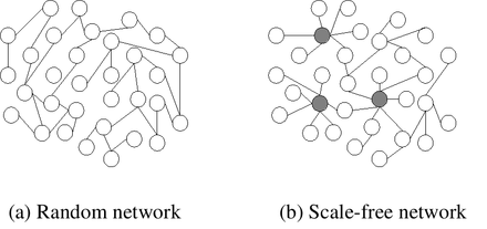 Examples of a random network and a scale-free network. Each graph has 32 nodes and 32 links. Note the "hubs" (shaded) in the scale-free diagram (on the right).