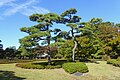 The Ninomaru Garden at the Tokyo Imperial Palace, Chiyoda City.