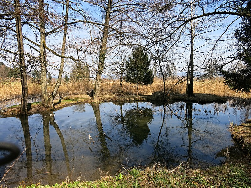 File:Schützenhausweiher.JPG