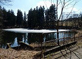 Čeština: Rybník Sebevrah jihovýchodně od města Český Krumlov. English: Sebevrah pond south-east of the town of Český Krumlov, South Bohemian Region, Czech Republic.