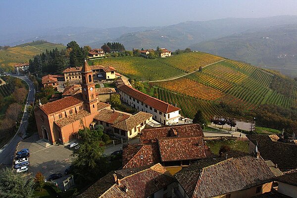 Vineyards in commune of Serralunga d'Alba