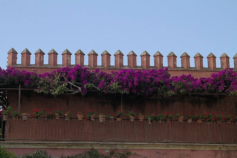 File:Sevilla - Casa de Pilatos - balcony.jpg