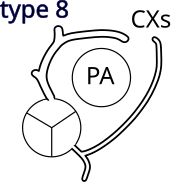 Shaher classification of TGA