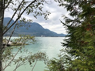 <span class="mw-page-title-main">Skwelwil'em Squamish Estuary Wildlife Management Area</span> Wildlife Management Area in British Columbia, Canada