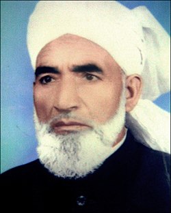 Sir Syed Sani.jpg