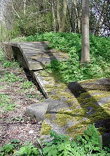 Skirlaugh railway station Disused railway station in the East Riding of Yorkshire, England