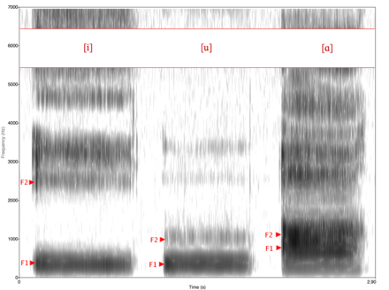 Spectrogram of American English vowels [i, u, ɑ] showing the formants f1 and f2