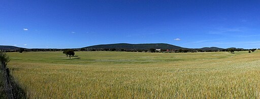 Spring fields in Sierra Morena (Cordoba, S Spain)