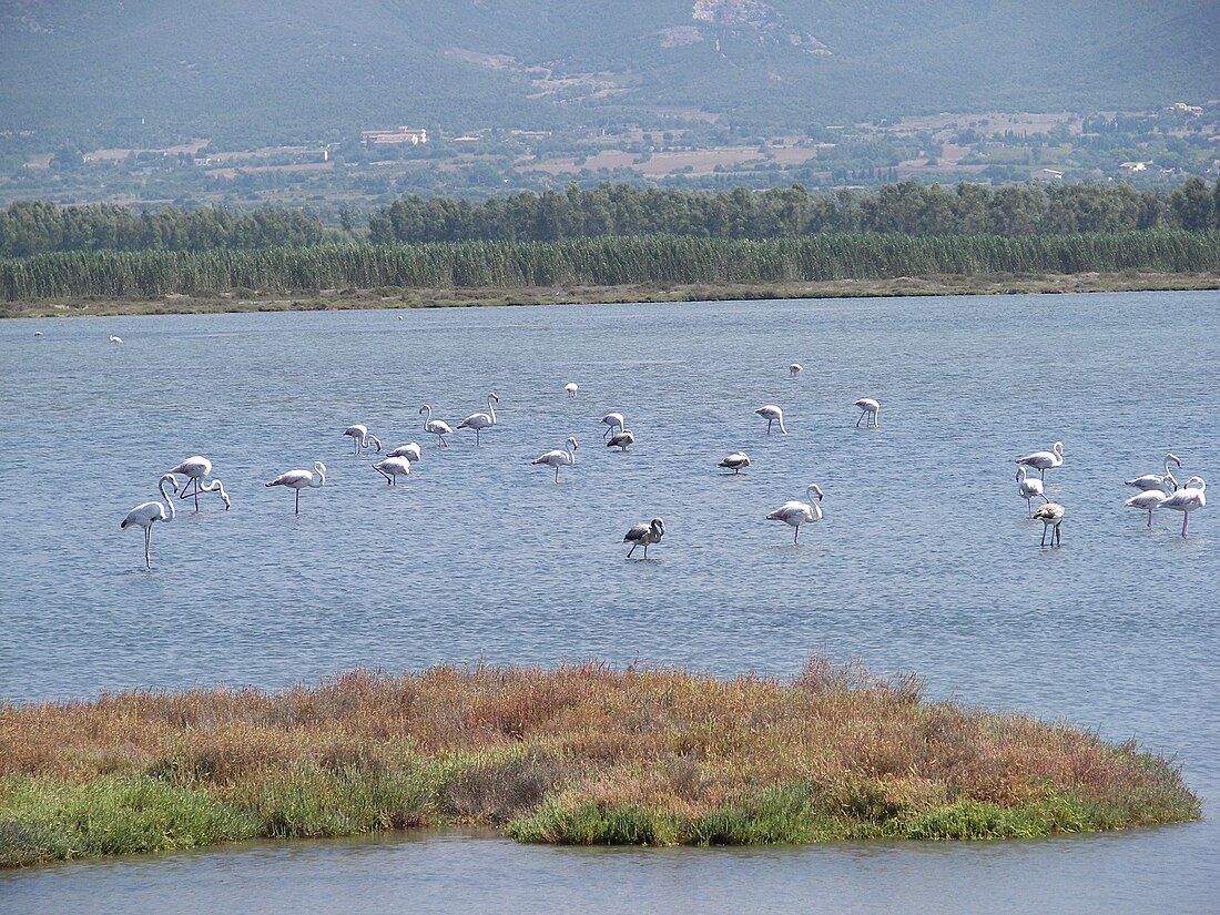 Stagno di Porto Botte