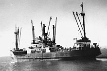 StateLibQld 1 148115 Puriri (ship).jpg