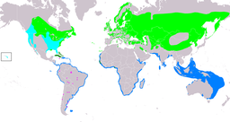 SternaHirundoIUCNver2018 2