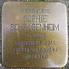 Stumbling block for Sophie Schragenheim