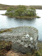 Einer der drei Schalensteine am Crannóg