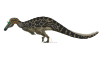 Suchomimus tenerensis by PaleoGeek.png