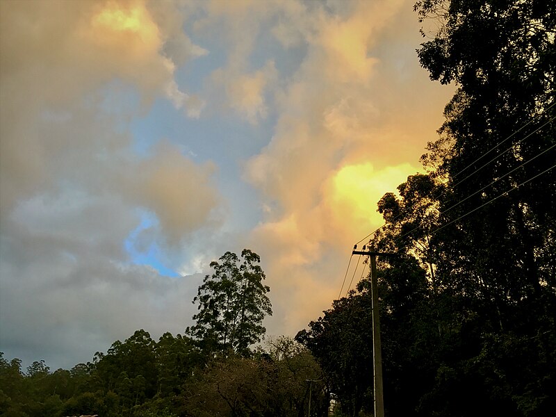 File:Sunset near Mattupetty Dam.jpg