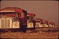 THESE TRUCKS WILL BE LOADED WITH BARLEY GROWN IN THE IMPERIAL VALLEY - NARA - 548980.jpg