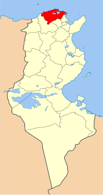 Bizerte (gouvernement)