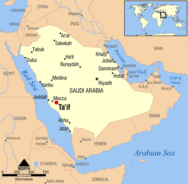 صورة:Ta'if, Saudi Arabia locator map.png