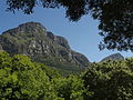 Table Mountain and Devils Peak from Kirstenbosch.JPG