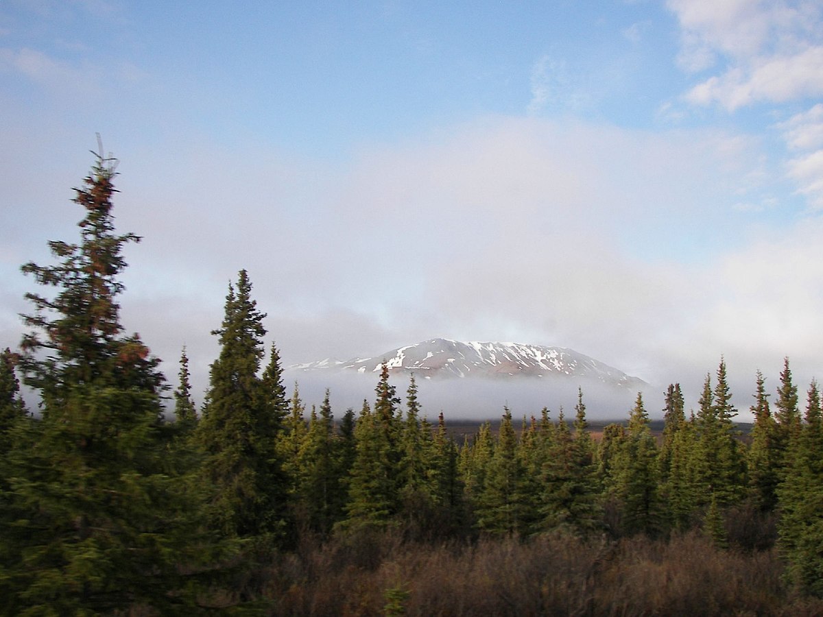 The Year-Round Land of Evergreens: the Taiga