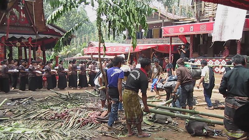 File:Tana Toraja, Salu funeral (6864124655).jpg