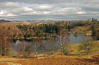 <span class="mw-page-title-main">Tarn Hows</span> Body of water