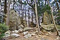 静岡県 天白磐座遺跡