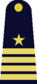 A RTAF group captain's rank insignia