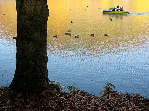 ducks and boat on the Thalersee near Graz, Austria in autumn