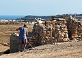 File:The Art of dry-stone walls and the Artist. Dry rubble walls being a common feature across Malta and Gozo.jpg