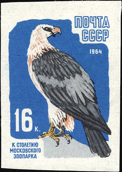 File:The Soviet Union 1964 CPA 3047 stamp (Centenary of Moscow Zoo. Bearded vulture or lammergeier (Gypaetus barbatus)).jpg