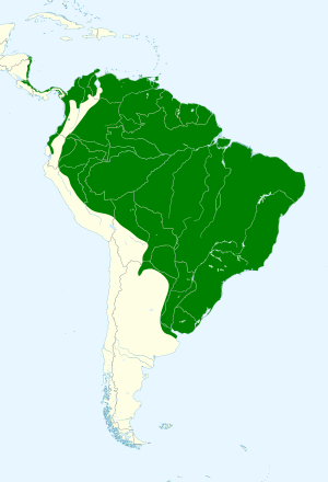 Tigrisoma lineatum map.svg