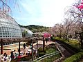 Togokusan Fruits Park / 東谷山フルーツパーク