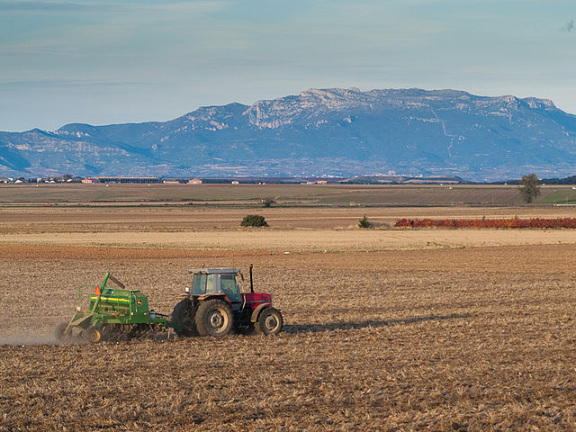 Plateau, PDF, Agricultura