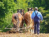 am 30.09.2014 - im Artikel Kategorisierung (Kognitionswissenschaft)