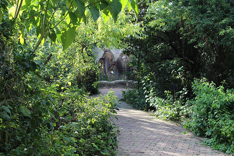 File:Trails at Valley Nature Center.JPG