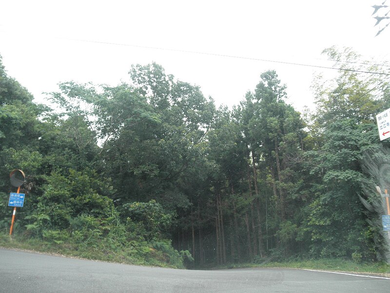 File:Tsuru Pass in Tokushimaprefectural road 283 Wajiki Katsuura line.jpg