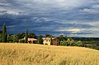 Tuscan Landscape 4.JPG