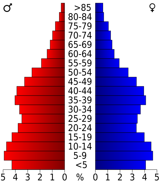 File:USA San Bernardino County, California age pyramid.svg