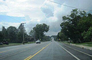 <span class="mw-page-title-main">Nelson, New York</span> Town in New York, United States