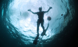 A diver viewed from below who appears inside of Snell's window. US Navy 110607-N-XD935-191 Navy Diver 2nd Class Ryan Arnold, assigned to Mobile Diving and Salvage Unit 2, snorkels on the surface to monitor multi.jpg