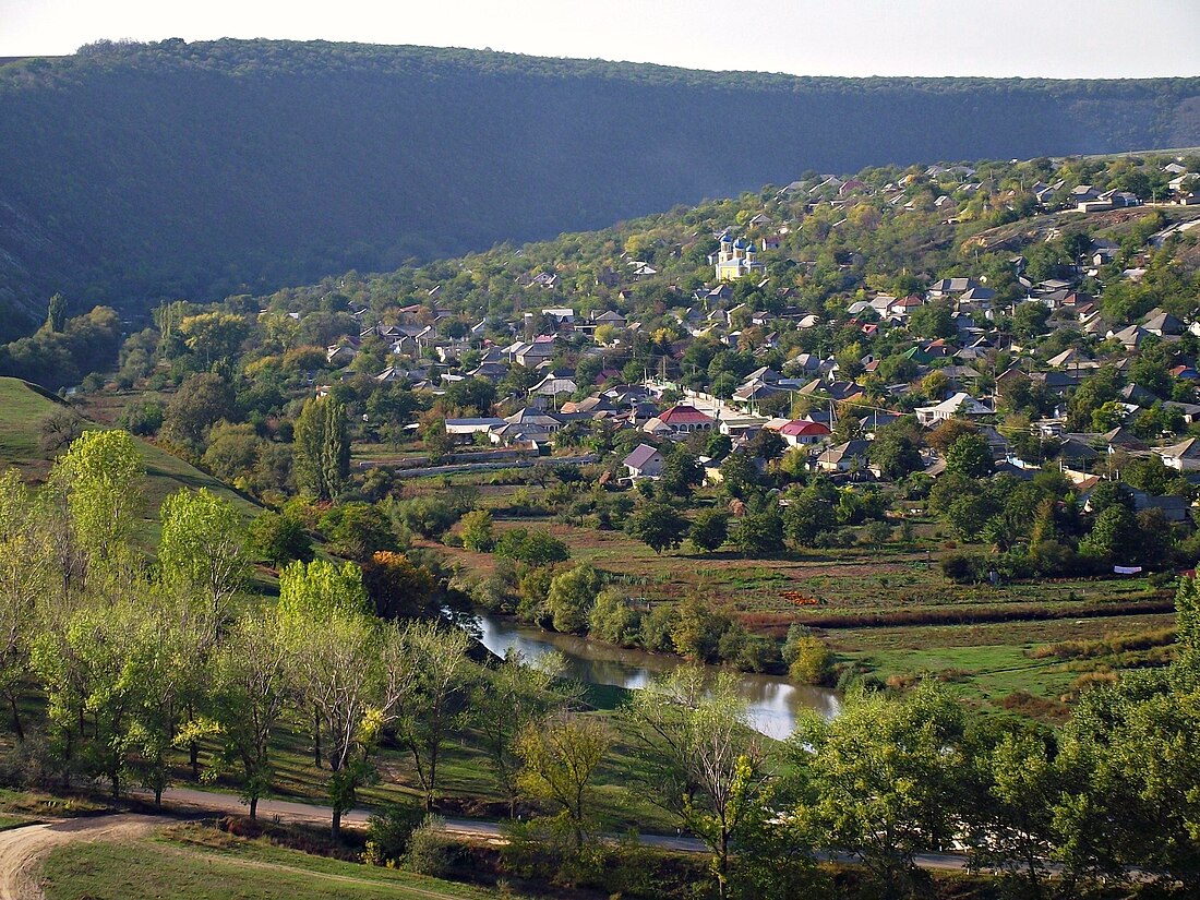 Trebujeni, Orhei