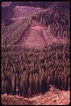 VIEW OF RECENT CLEAR-CUTS ON THE CANYON RIVER DRAINAGE SYSTEM IN OLYMPIC NATIONAL TIMBERLAND, WASHINGTON. NEAR... - NARA - 555145.jpg