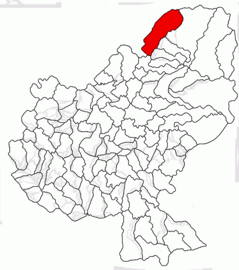 Location in Mureș County