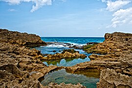 Vega Baja tidepools (6272356283).jpg