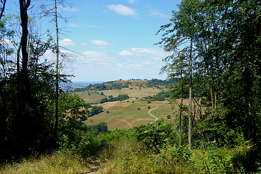 View of Landscape from the Standish Wood Cross Dyke